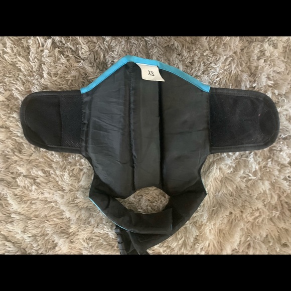 Pet Lifevest - Picture 4 of 7